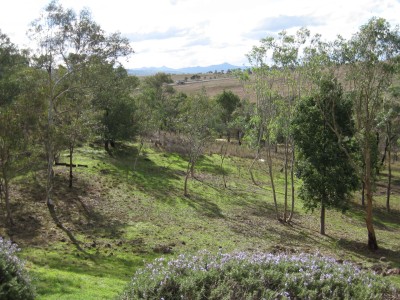 For Sale By Owner MERRIWA, NSW 2329