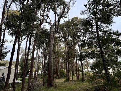 For Sale By Owner DONNYBROOK, WA 6239