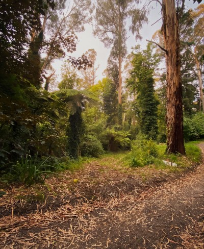 For Sale By Owner KALORAMA, VIC 3766