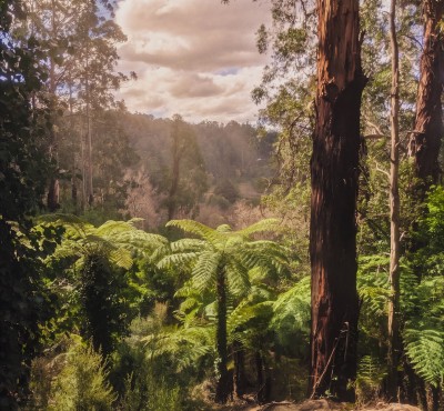 For Sale By Owner KALORAMA, VIC 3766