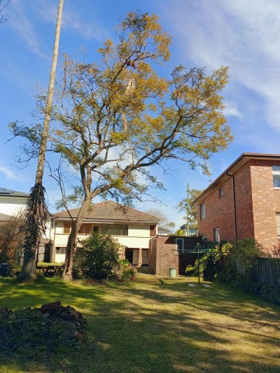 For Sale By Owner GLADESVILLE, NSW 2111
