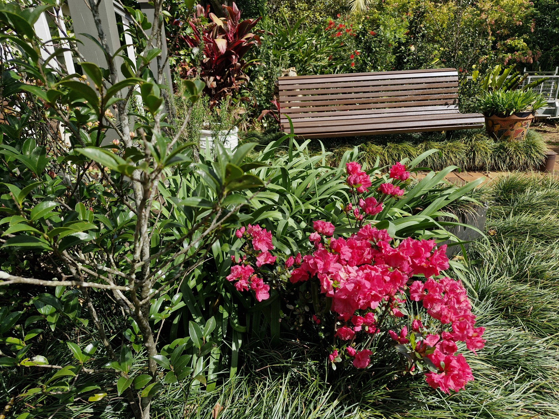 For Sale By Owner: 13 Central Avenue, Tamborine Mountain, QLD 4272