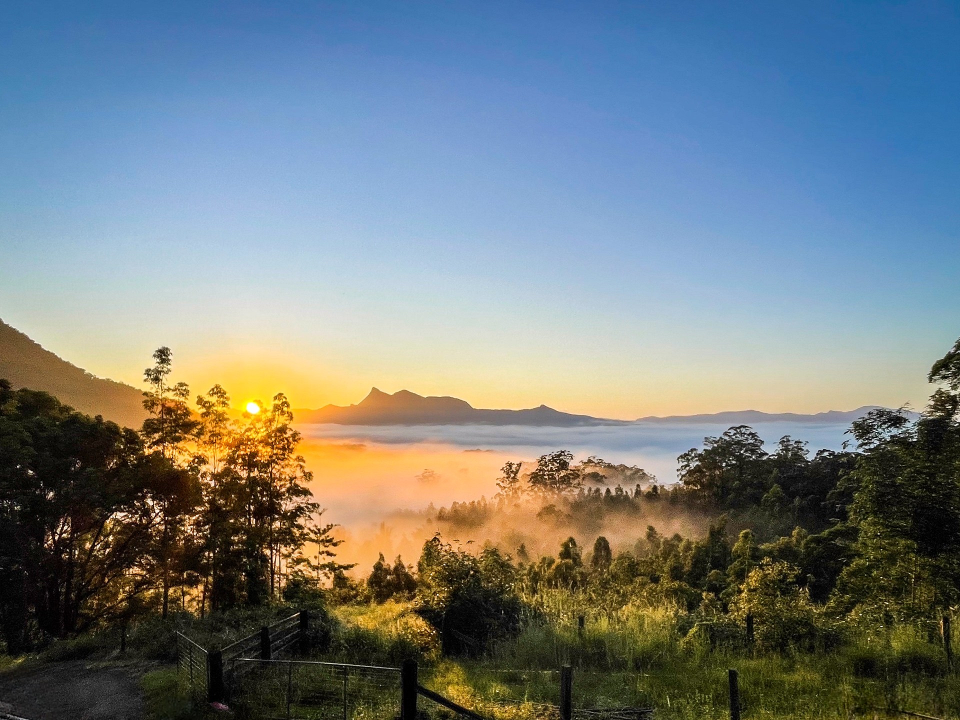For Sale By Owner: Tyalgum Creek, NSW 2484