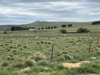 For Sale By Owner MICHELAGO, NSW 2620