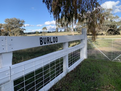 For Sale By Owner COONABARABRAN, NSW 2357