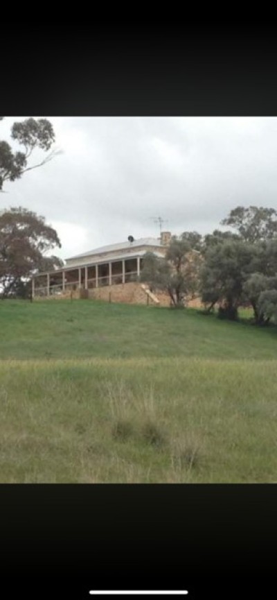 For Sale By Owner SPALDING, SA 5454