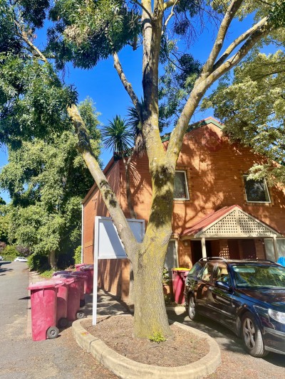 For Sale By Owner LAUNCESTON, TAS 7250