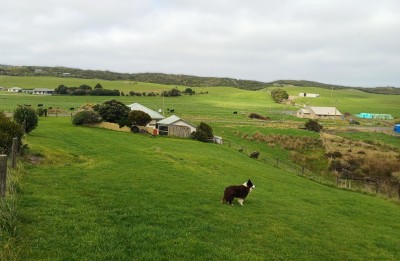 For Sale By Owner JOHANNA, VIC 3238