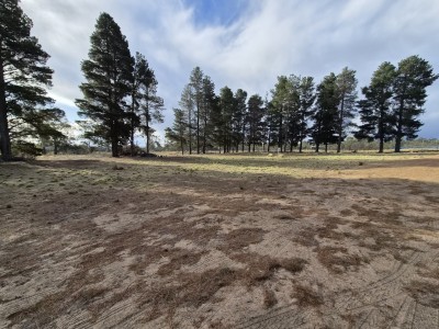 For Sale By Owner DOLPHIN SANDS, TAS 7190