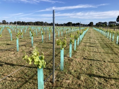 For Sale By Owner KYNETON, VIC 3444