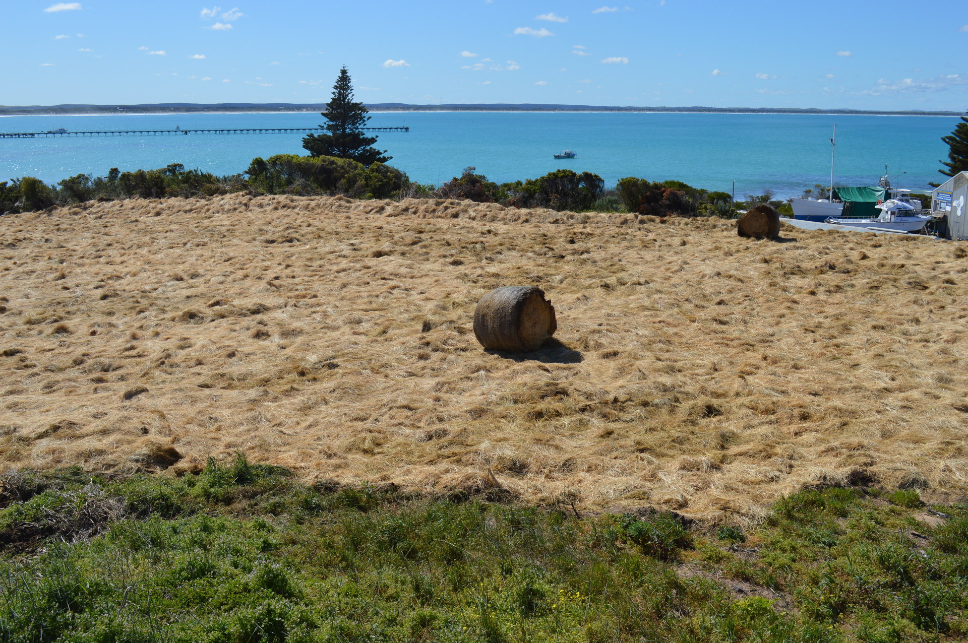 For Sale By Owner Beachport SA 5280 12 Foster St