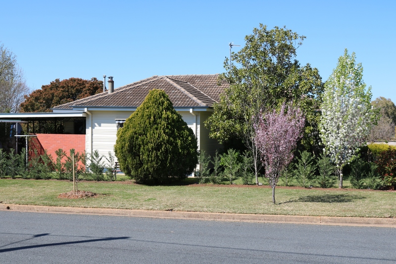 For Sale By Owner Ashmont NSW 2650 3 Alexander St