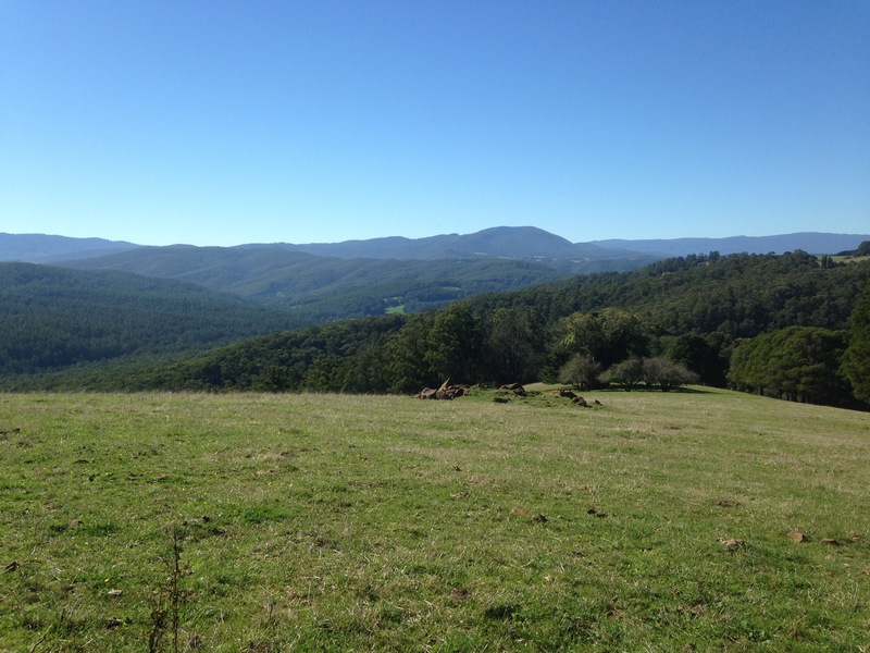 For Sale By Owner Neerim Junction VIC 3832 56 Shandley road