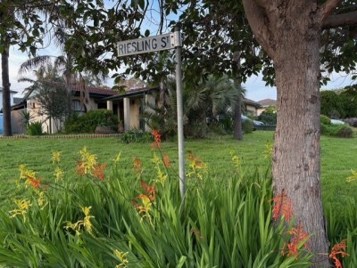 For Sale By Owner MORPHETT VALE, SA 5162