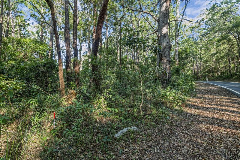 For Sale By Owner Springbrook QLD 4213 1922 Springbrook Road