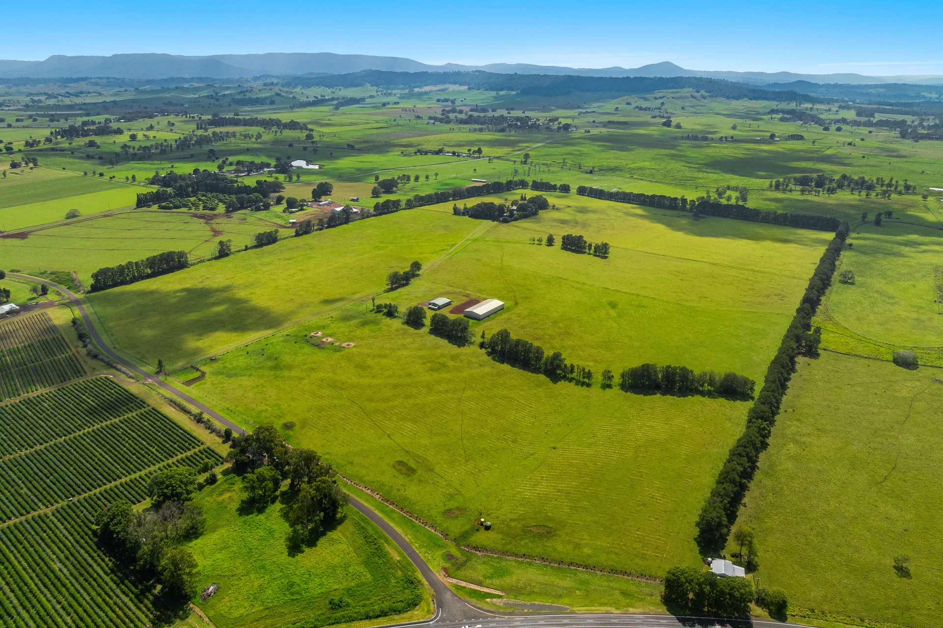 Business For Sale: Fairy Hill, NSW 2470