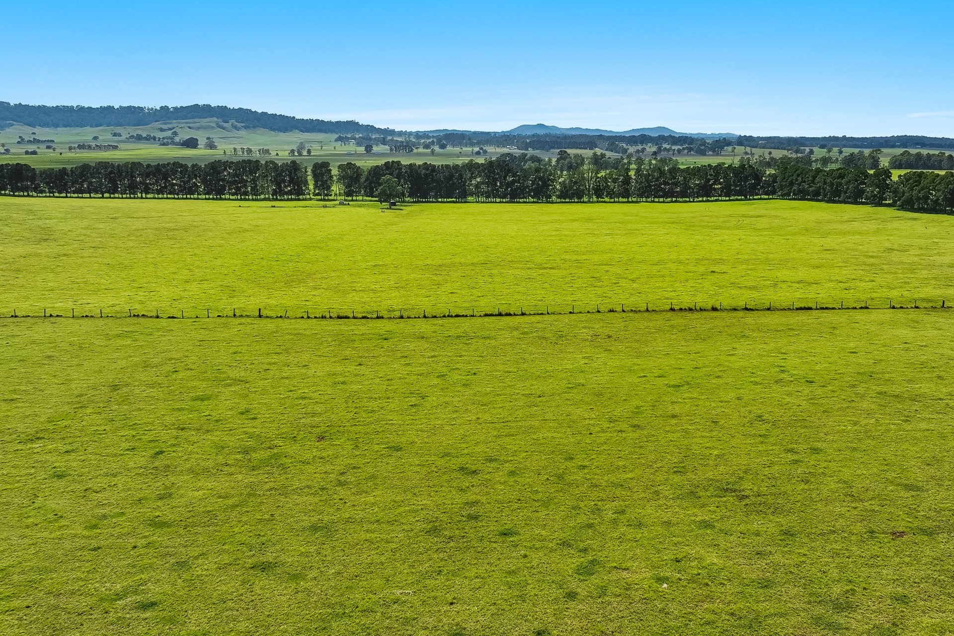 Business For Sale: Fairy Hill, NSW 2470