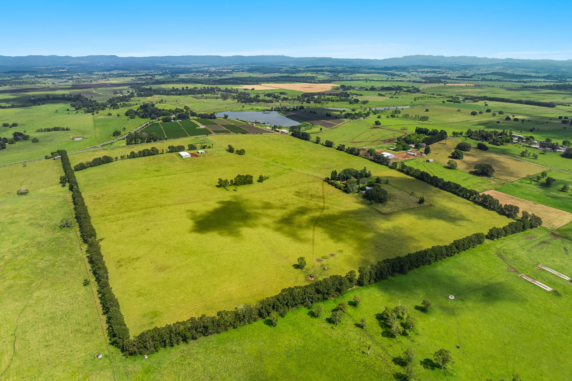 Business For Sale: Fairy Hill, NSW 2470