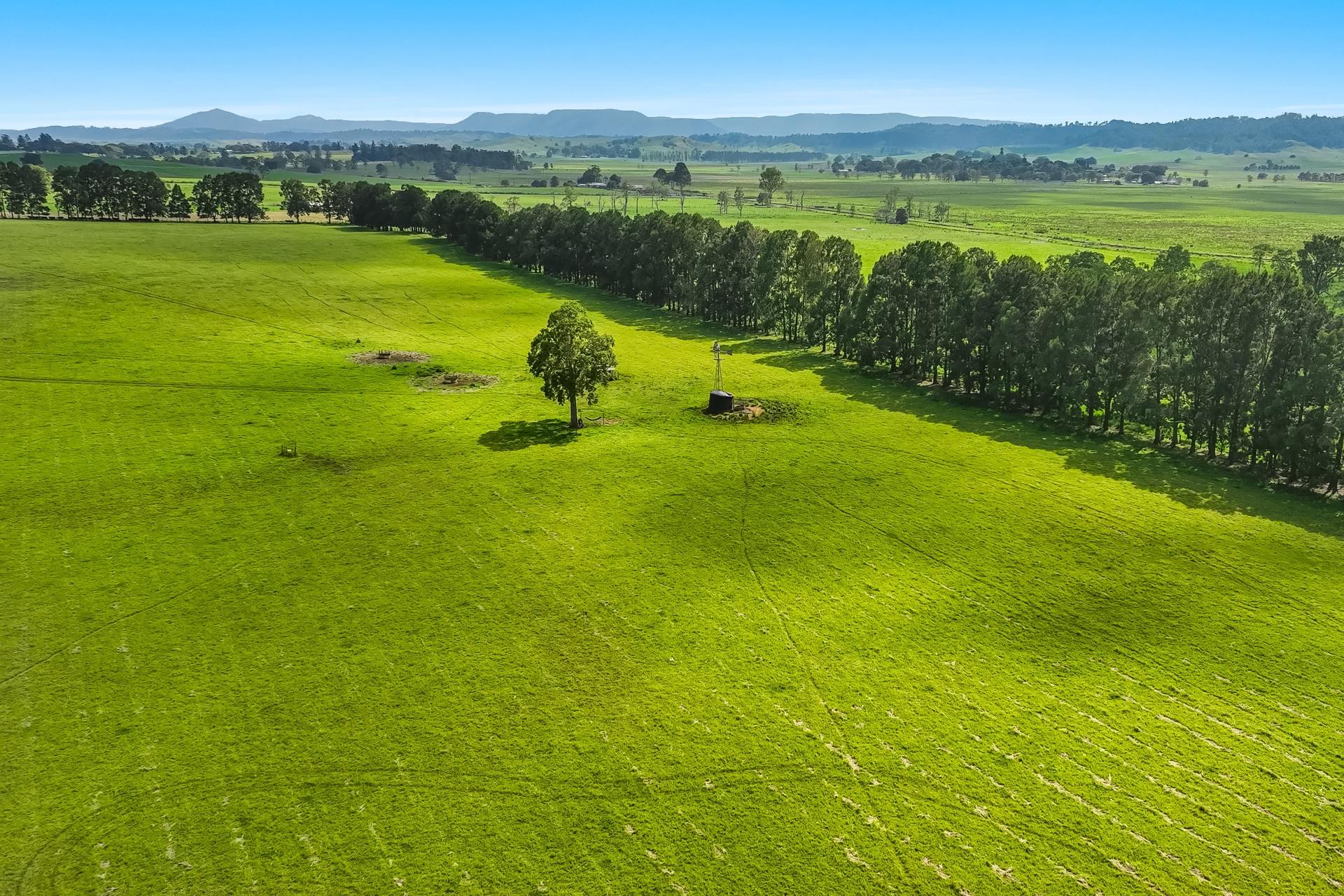 Business For Sale: Fairy Hill, NSW 2470