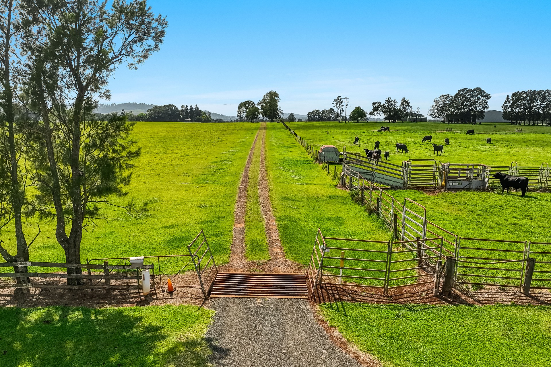 Business For Sale: Fairy Hill, NSW 2470