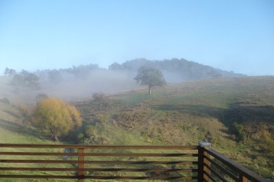 For Sale By Owner BROGO, NSW 2550