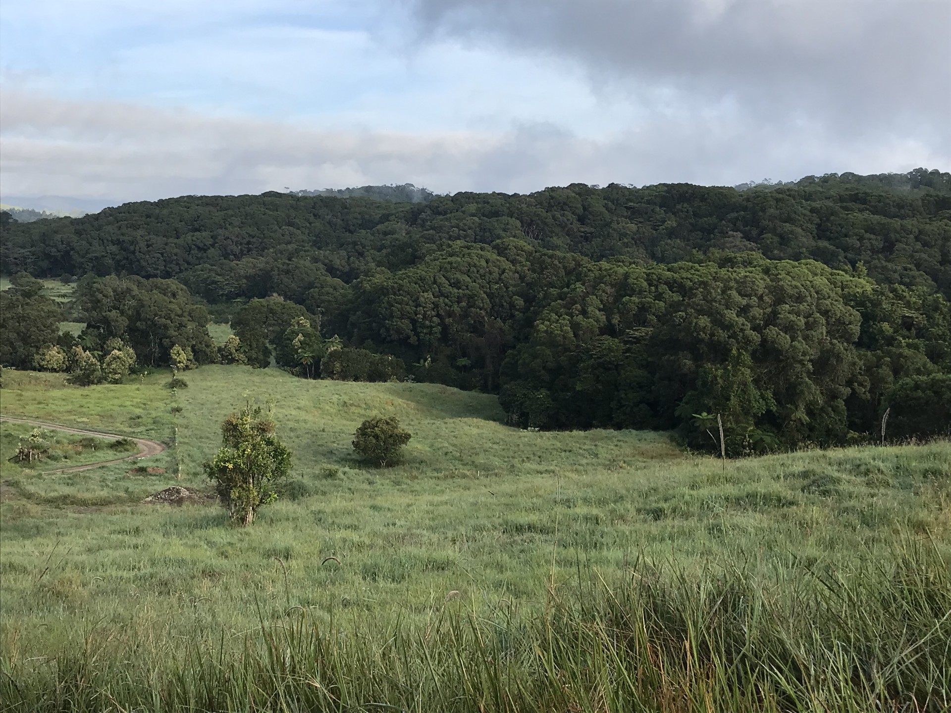 For Sale By Owner Millaa Millaa QLD 4886 589 Theresa Creek Road