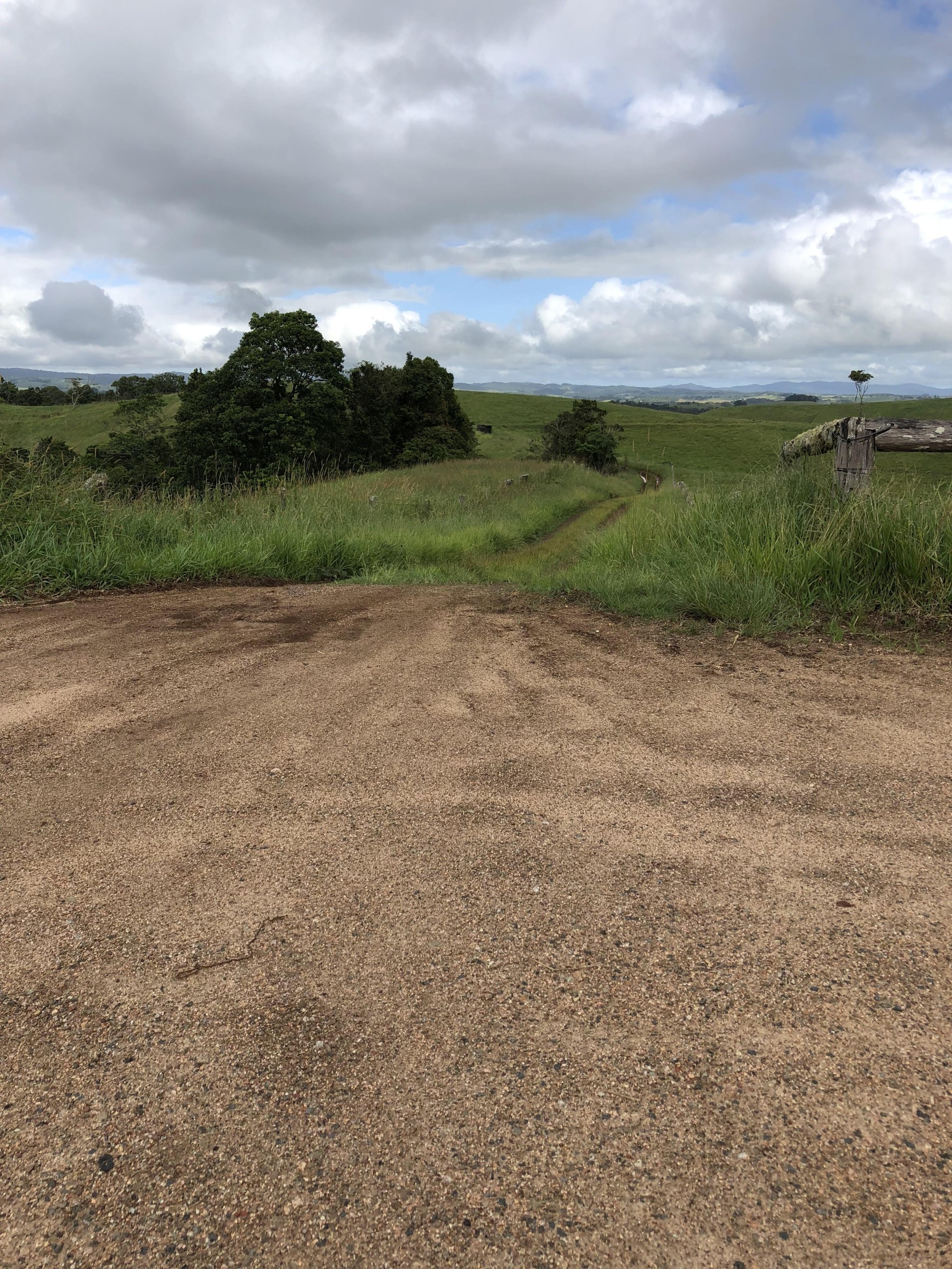 For Sale By Owner Millaa Millaa QLD 4886 589 Theresa Creek Road