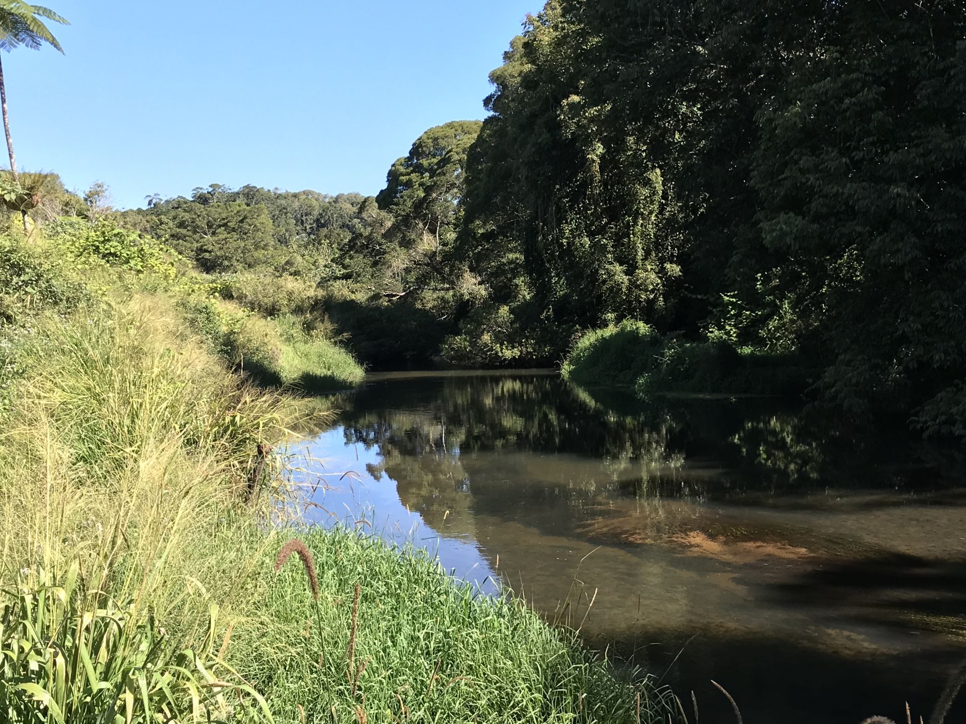 For Sale By Owner Millaa Millaa QLD 4886 589 Theresa Creek Road