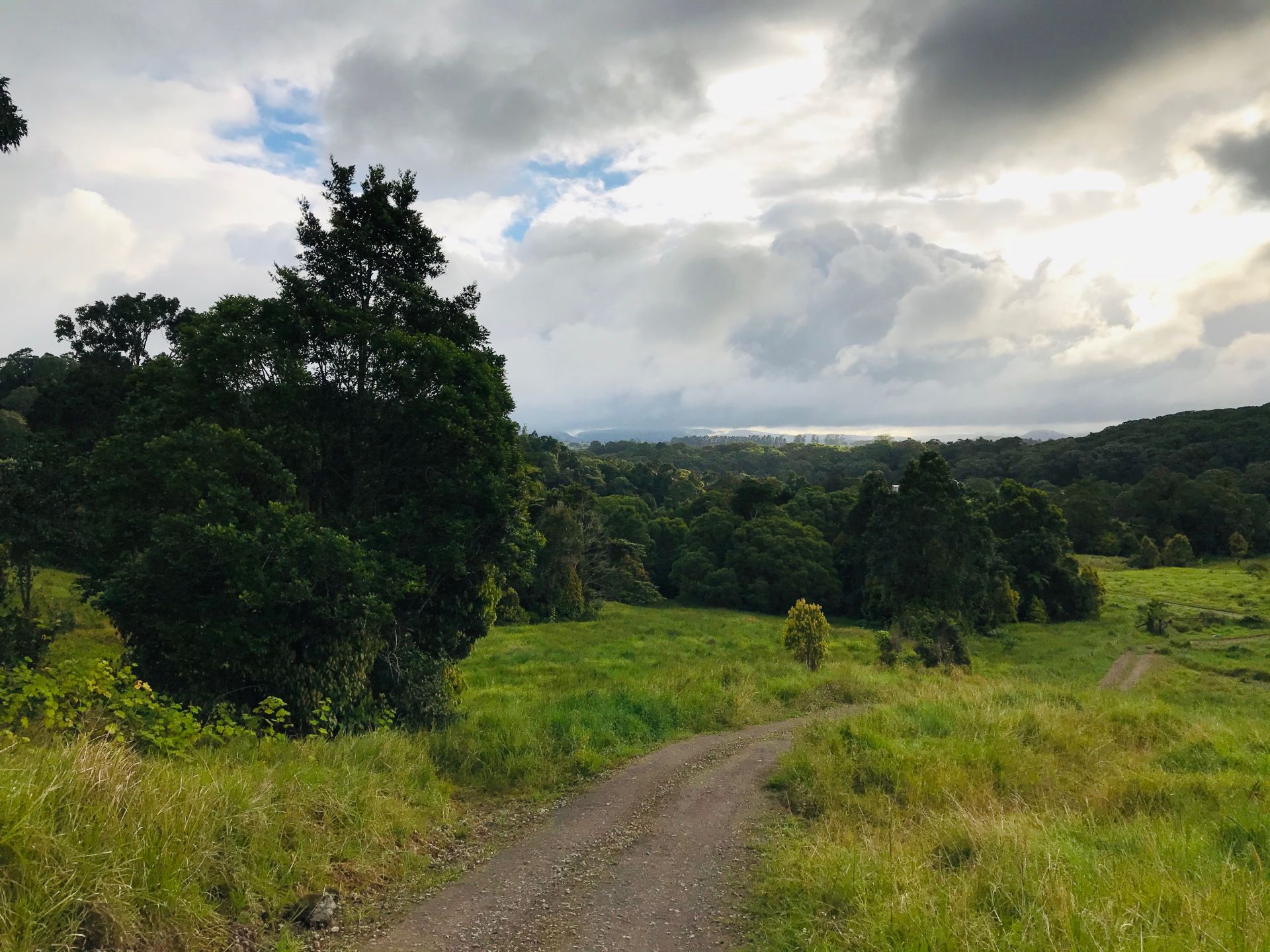 For Sale By Owner Millaa Millaa QLD 4886 589 Theresa Creek Road