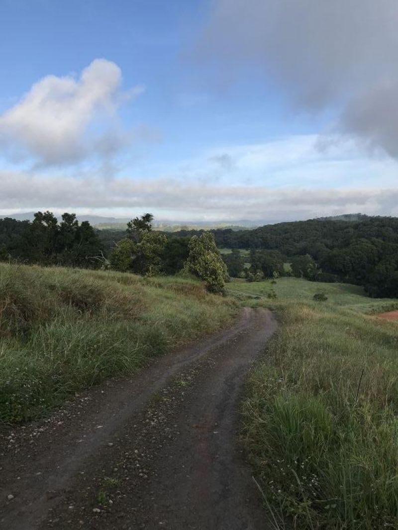 For Sale By Owner Millaa Millaa QLD 4886 589 Theresa Creek Road