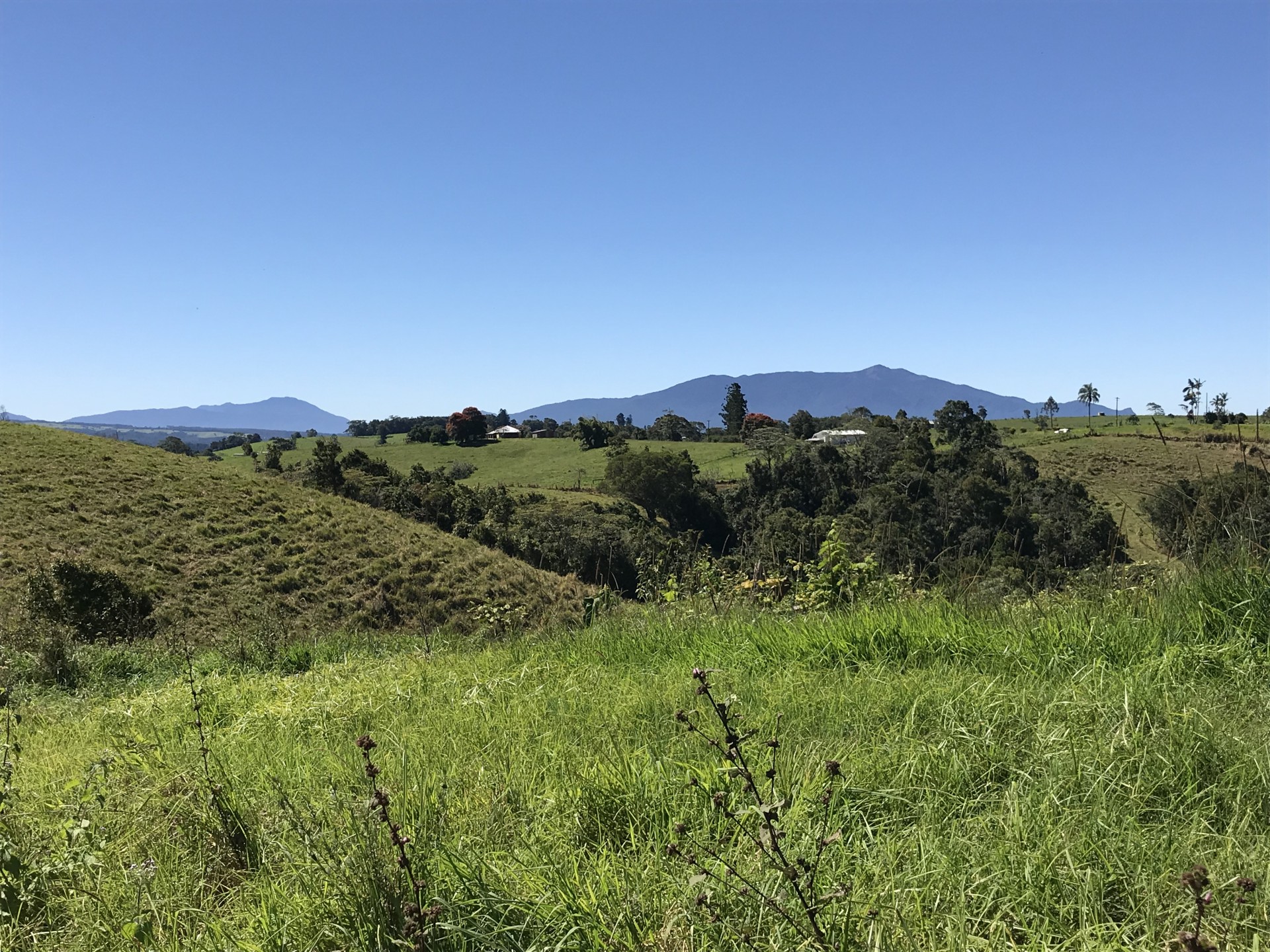 For Sale By Owner Millaa Millaa QLD 4886 589 Theresa Creek Road